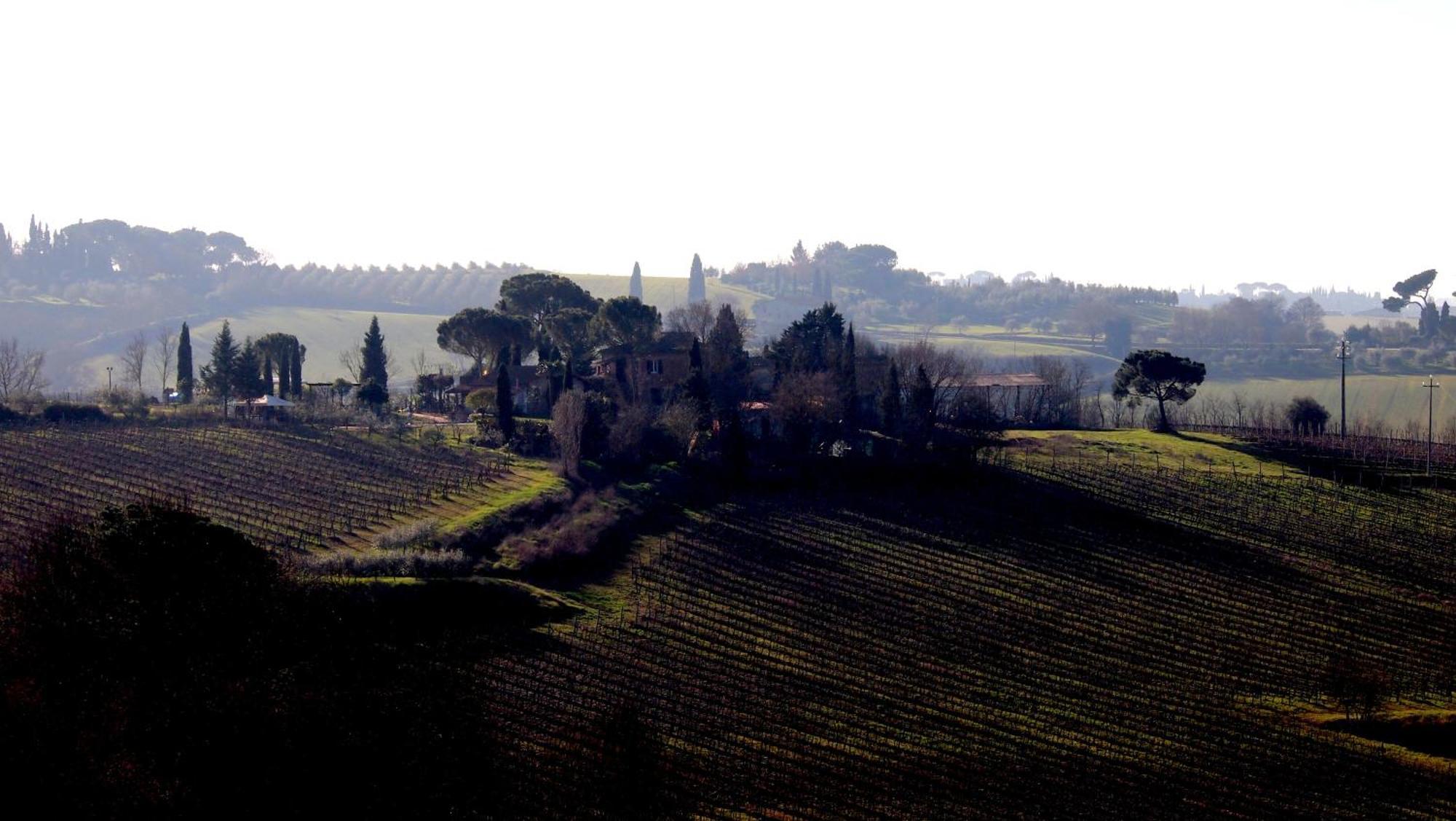 Agriturismo La Terra Valiano Экстерьер фото