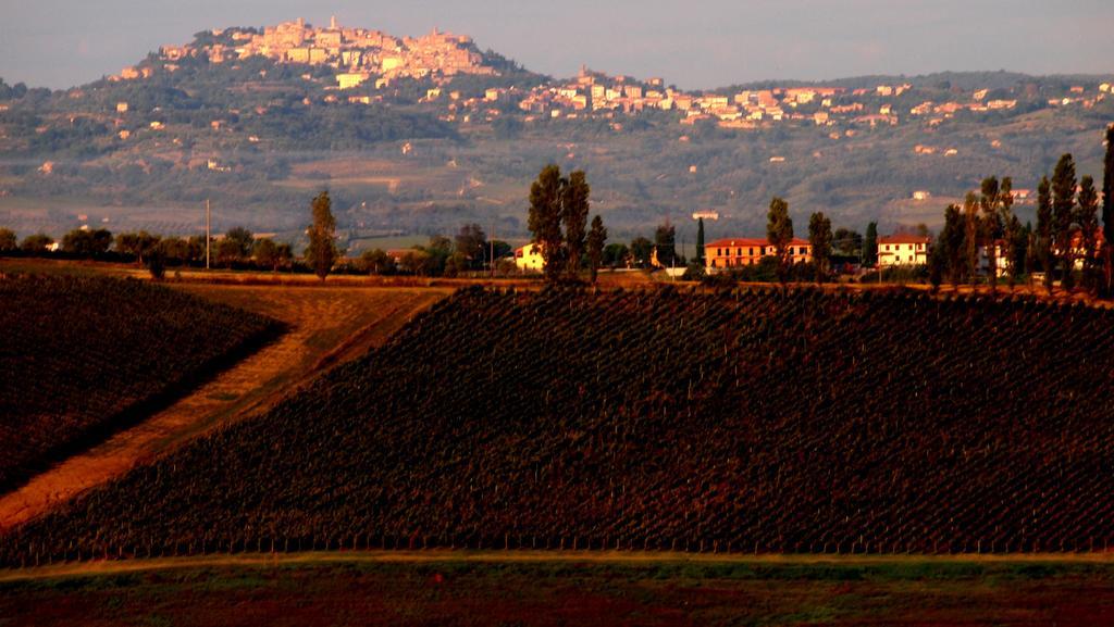Agriturismo La Terra Valiano Экстерьер фото