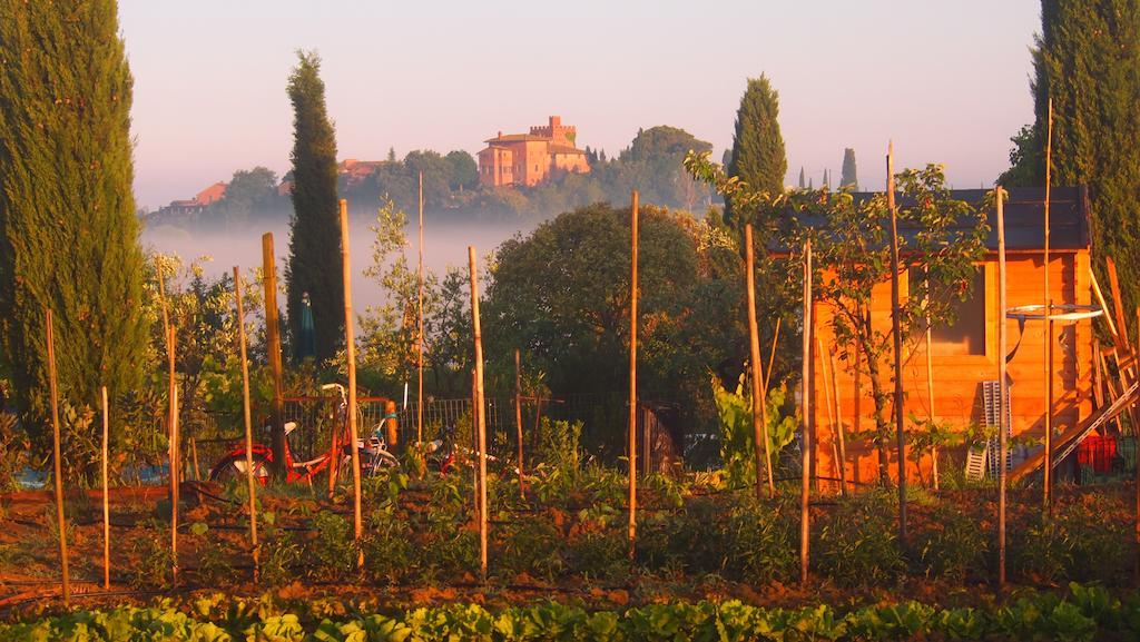 Agriturismo La Terra Valiano Экстерьер фото